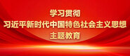 大鸡巴操骚比视频学习贯彻习近平新时代中国特色社会主义思想主题教育_fororder_ad-371X160(2)